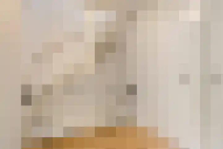 Vermeerplantsoen 154 Drunen thumbnail 14