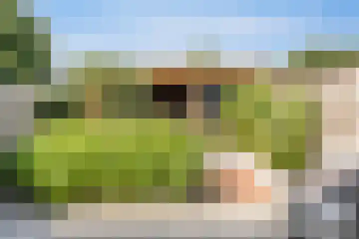 Vermeerplantsoen 154 Drunen foto 2