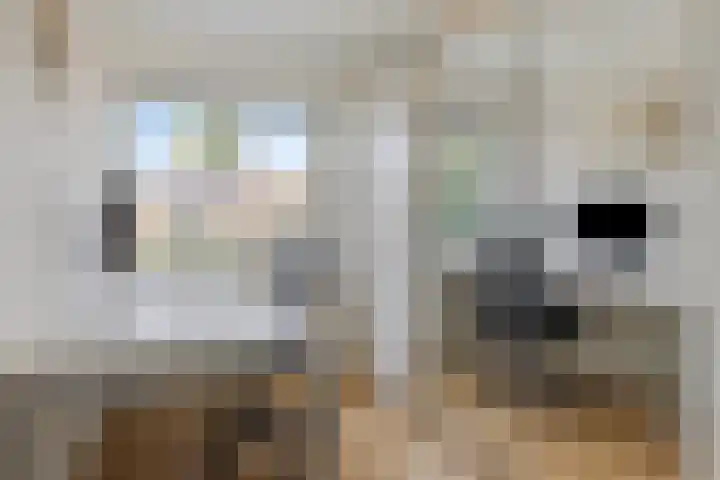 Vermeerplantsoen 154 Drunen thumbnail 21