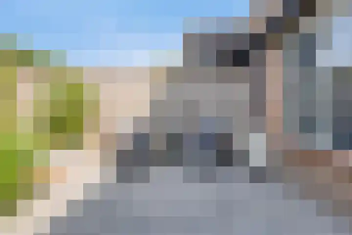 Vermeerplantsoen 154 Drunen thumbnail 25