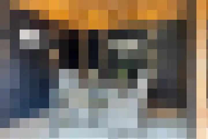 Vermeerplantsoen 154 Drunen thumbnail 26