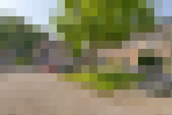 Vermeerplantsoen 154 Drunen thumbnail 28
