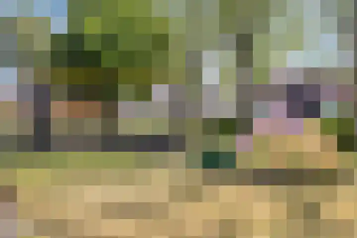 Vermeerplantsoen 154 Drunen thumbnail 29
