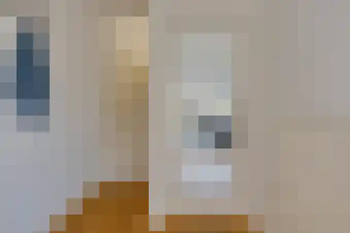 Vermeerplantsoen 154 Drunen thumbnail 6