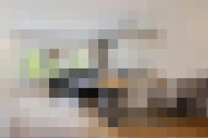 Vermeerplantsoen 154 Drunen thumbnail 8