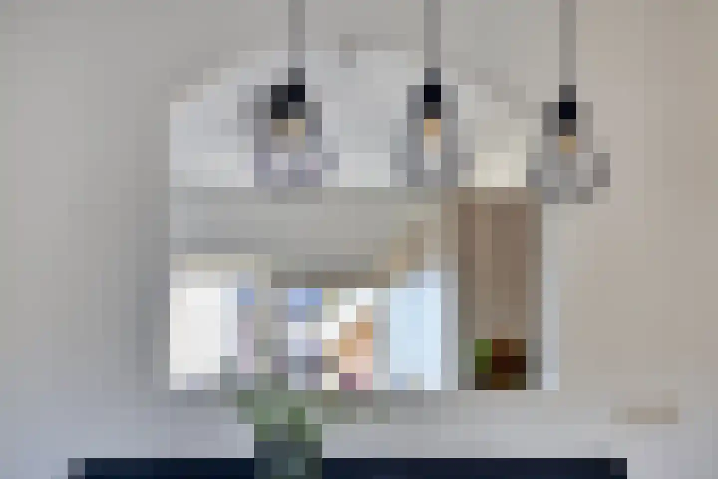 Vermeerplantsoen 158 Drunen thumbnail 10