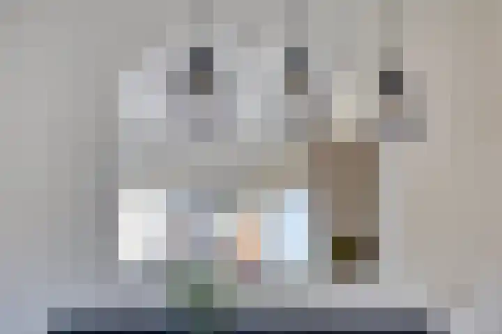 Vermeerplantsoen 158 Drunen thumbnail 10