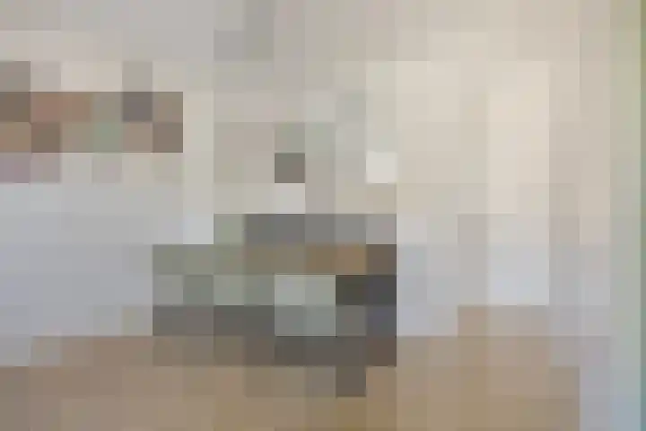 Vermeerplantsoen 158 Drunen thumbnail 8