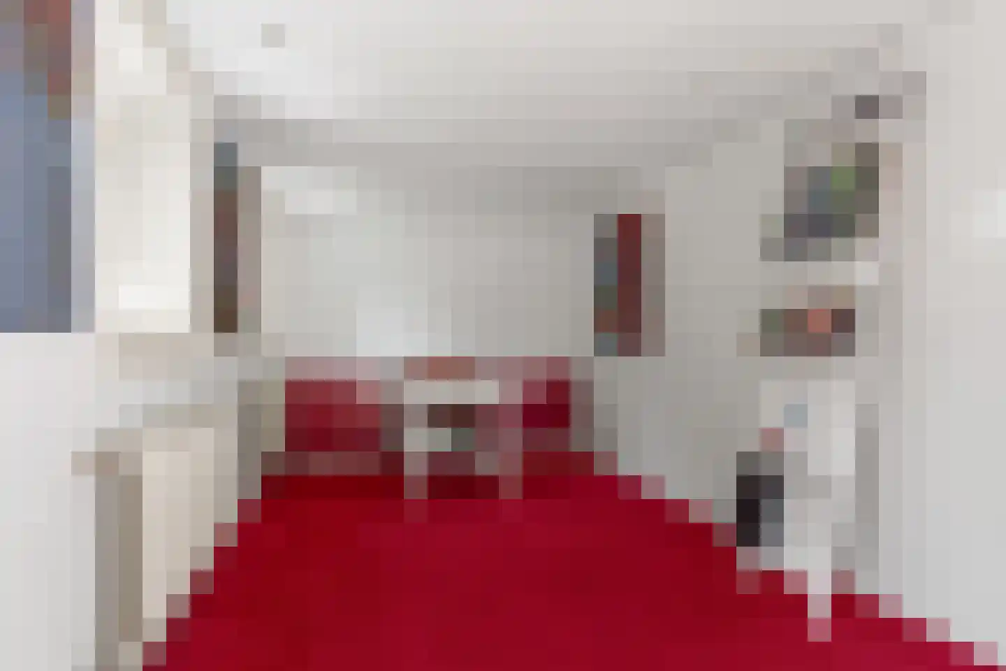 Vermeerplein 19 Bilthoven thumbnail 46