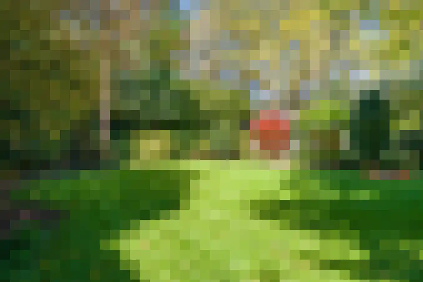 Vermeerplein 19 Bilthoven thumbnail 47
