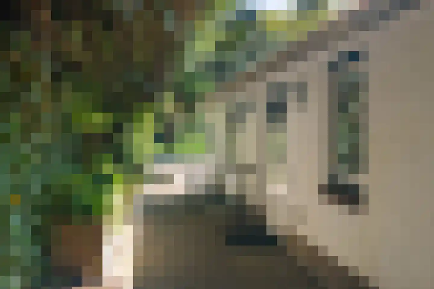 Vermeerplein 19 Bilthoven thumbnail 5