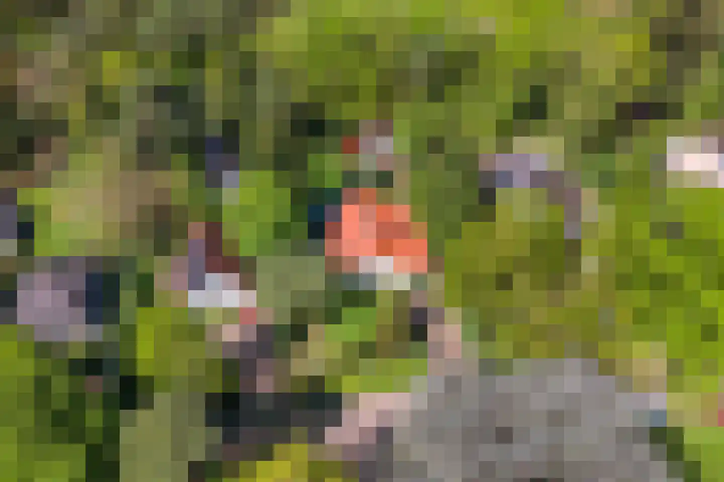 Vermeerplein 19 Bilthoven thumbnail 52