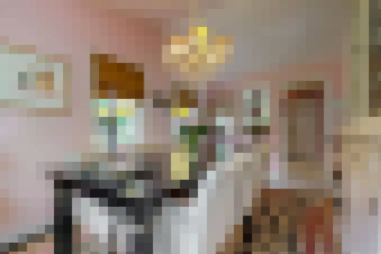 Vermeerplein 25 Bilthoven thumbnail 10