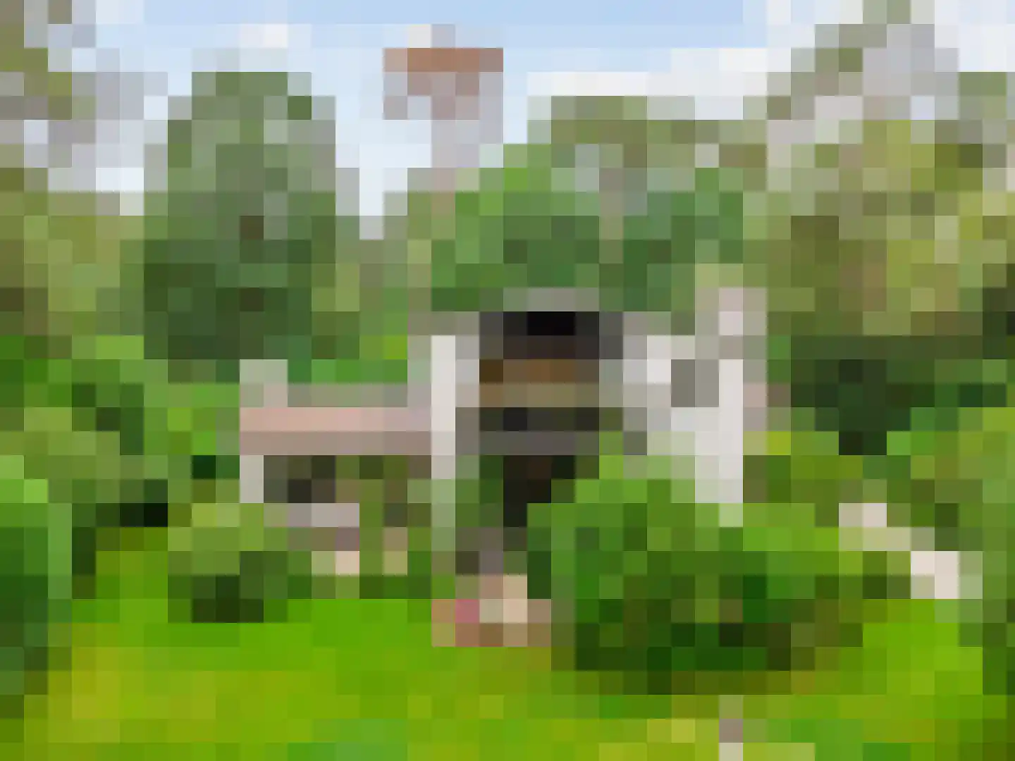 Vermeerplein 25 Bilthoven thumbnail 23