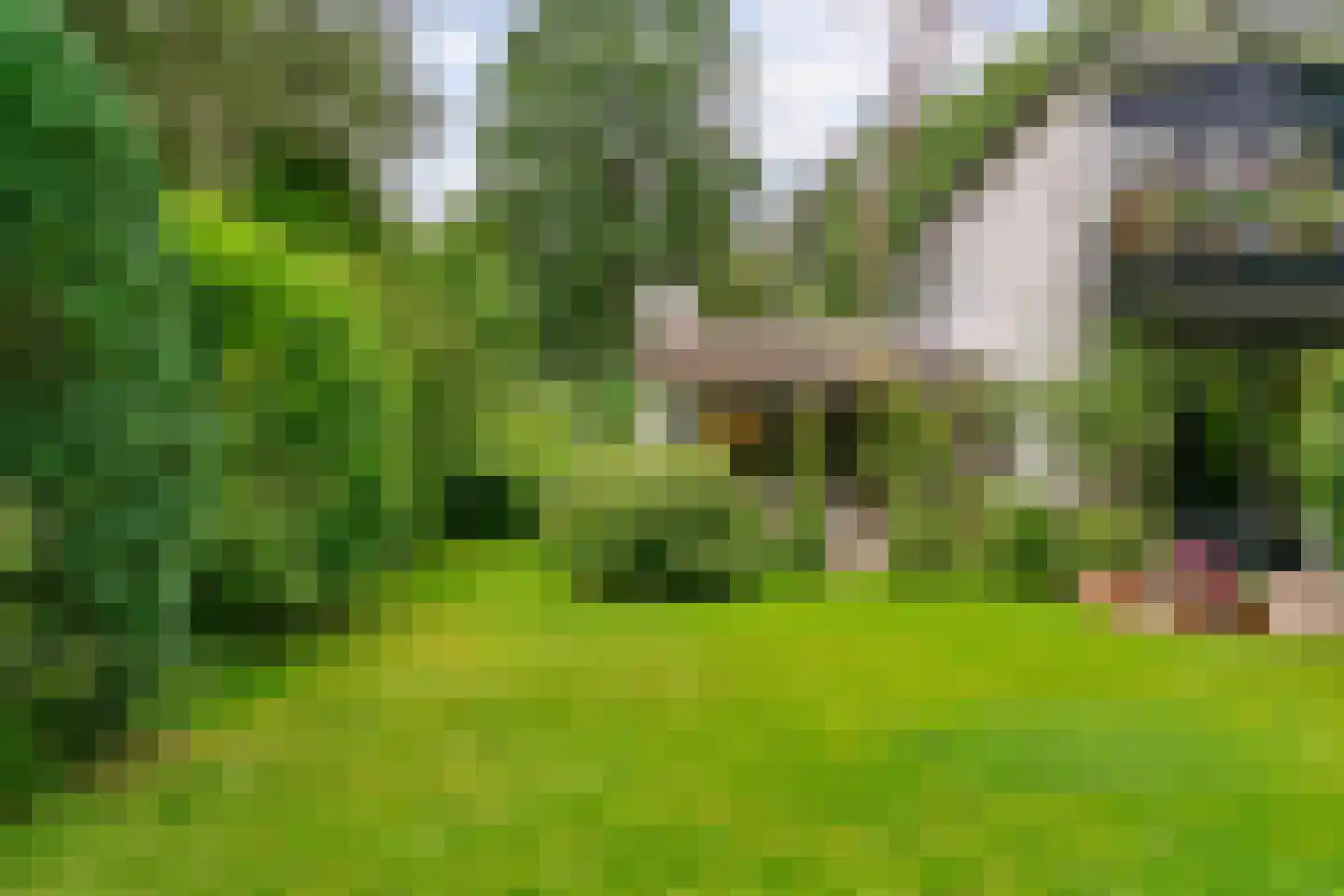 Vermeerplein 25 Bilthoven thumbnail 38