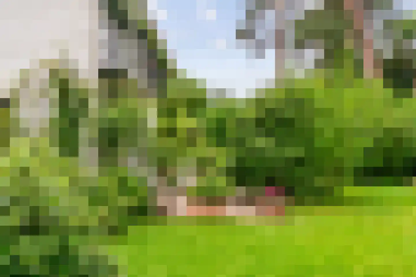 Vermeerplein 25 Bilthoven thumbnail 39