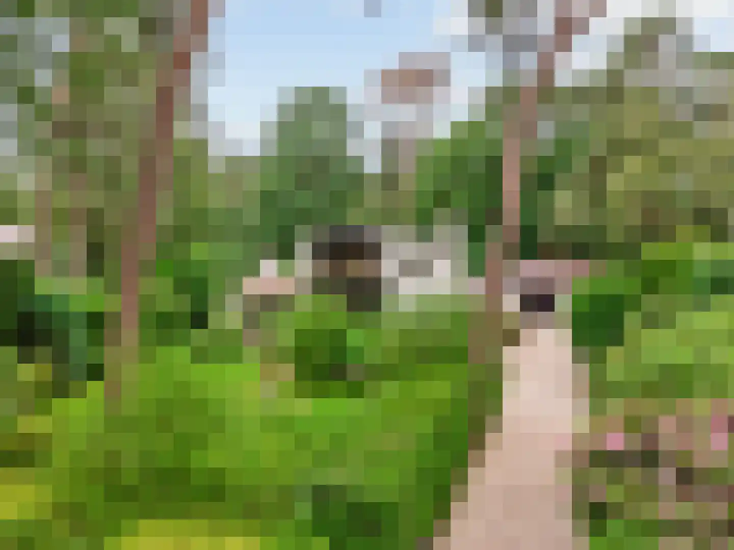 Vermeerplein 25 Bilthoven thumbnail 4