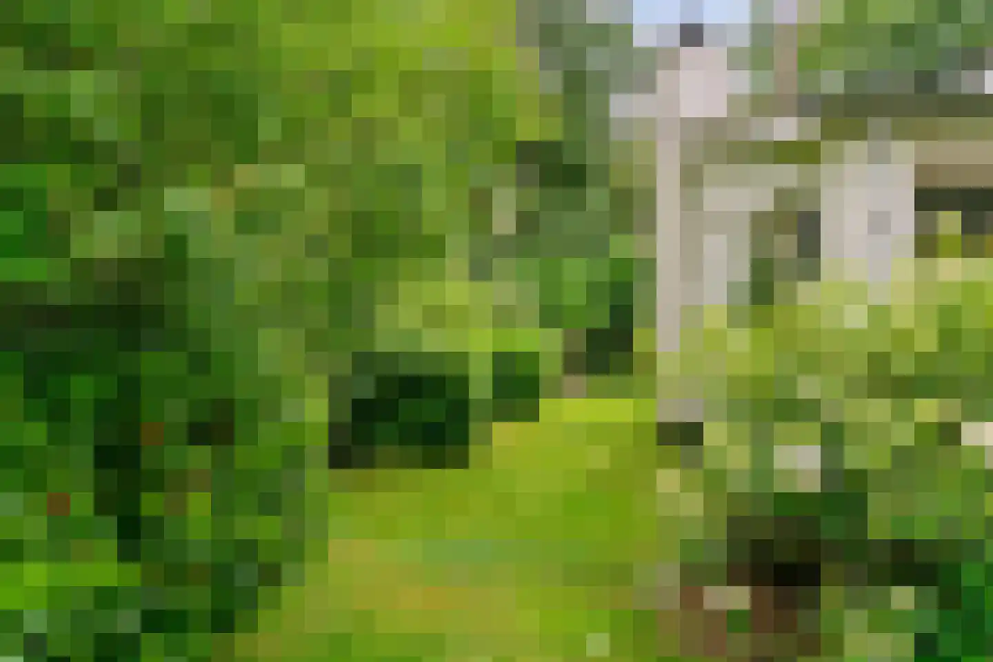 Vermeerplein 25 Bilthoven thumbnail 41
