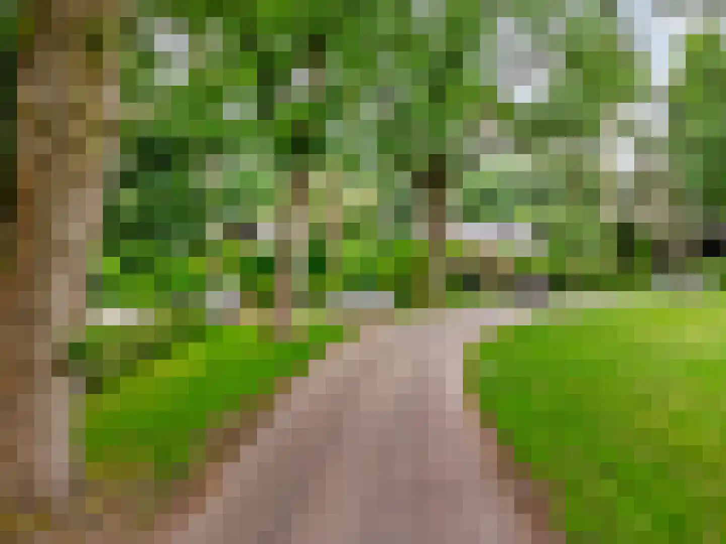 Vermeerplein 25 Bilthoven thumbnail 44