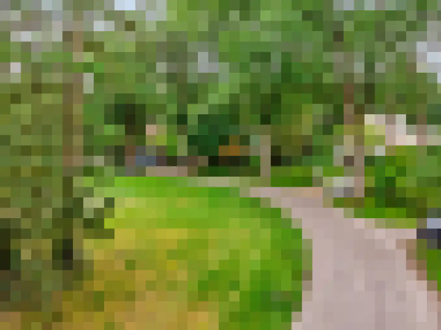 Vermeerplein 25 Bilthoven thumbnail 45