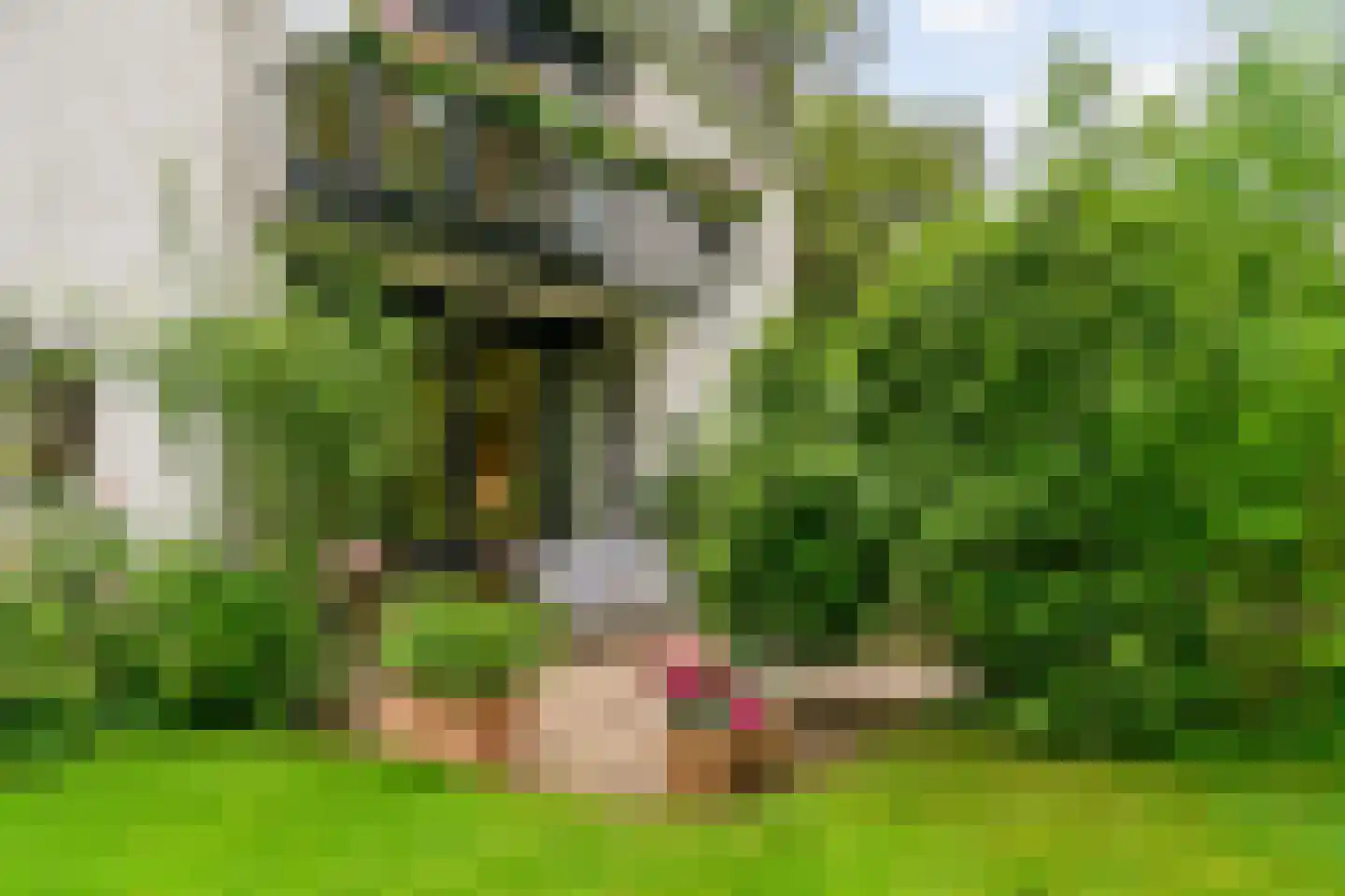 Vermeerplein 25 Bilthoven thumbnail 5