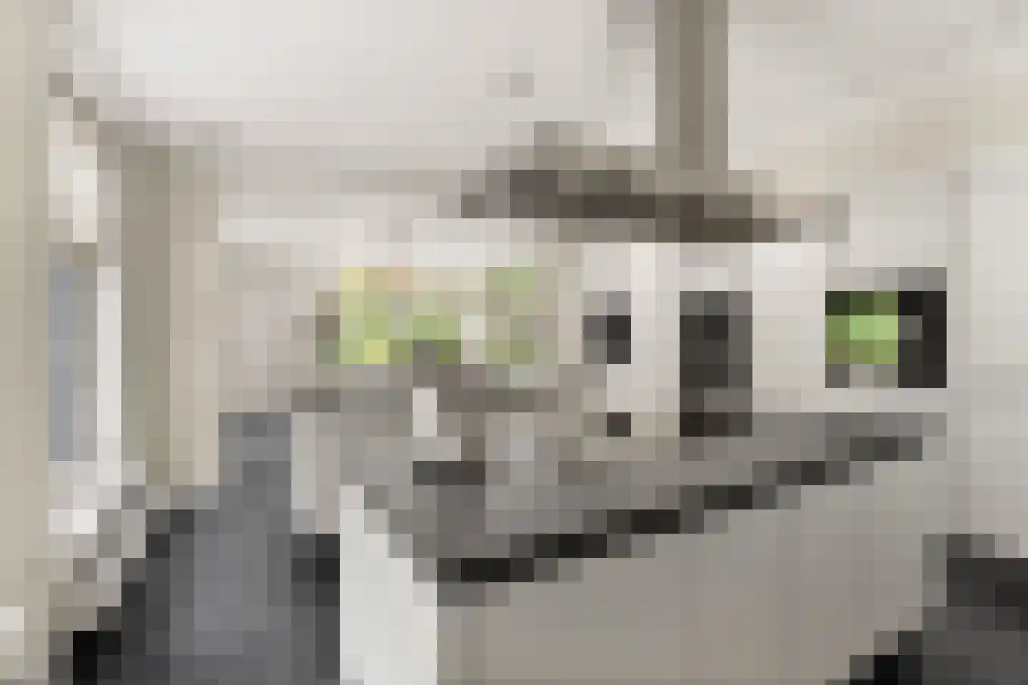 Vermeerplein 29 Bilthoven thumbnail 11