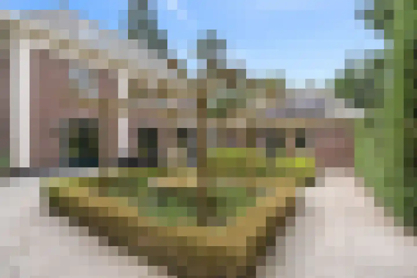 Vermeerplein 29 Bilthoven thumbnail 22