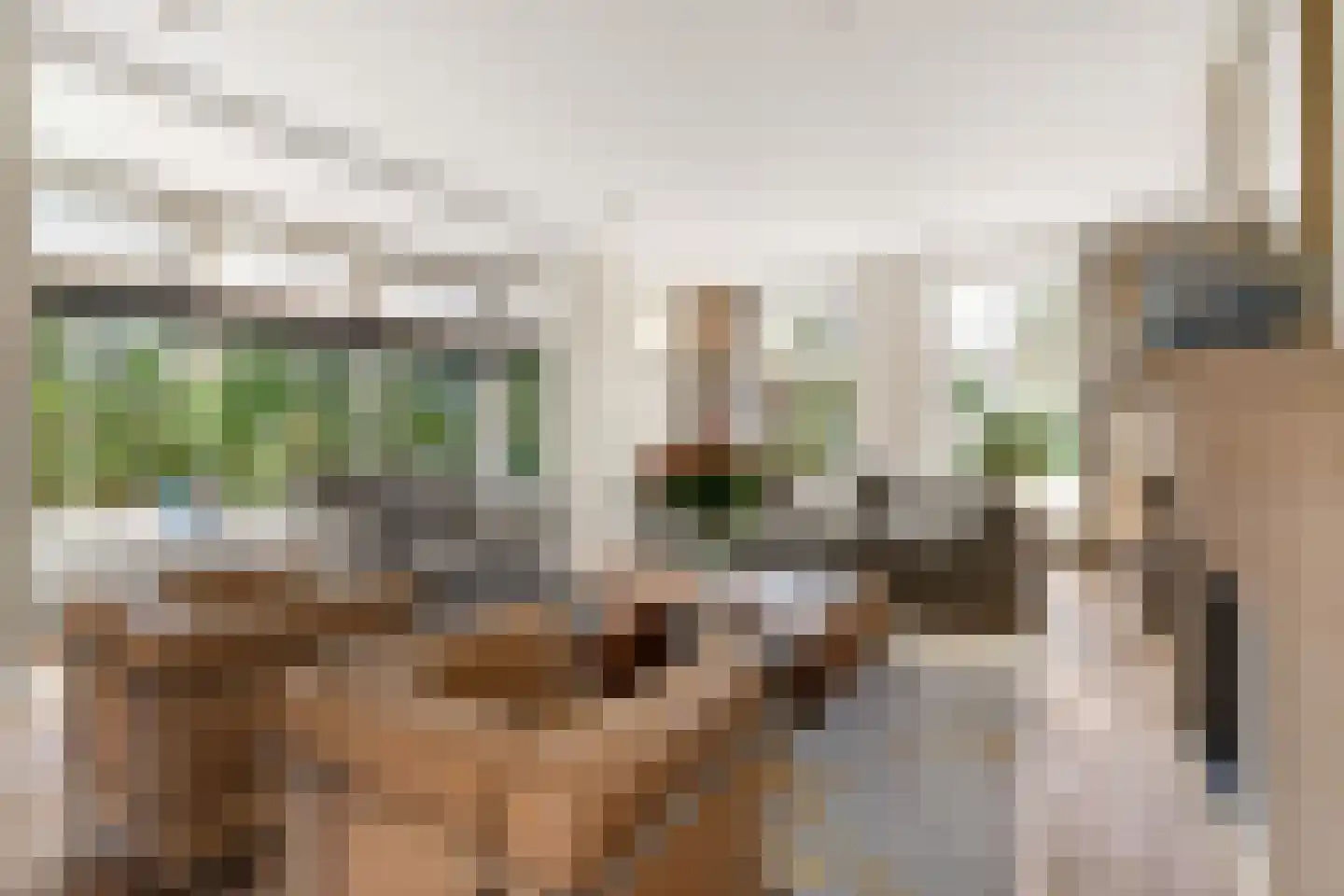 Vermeerplein 29 Bilthoven thumbnail 8