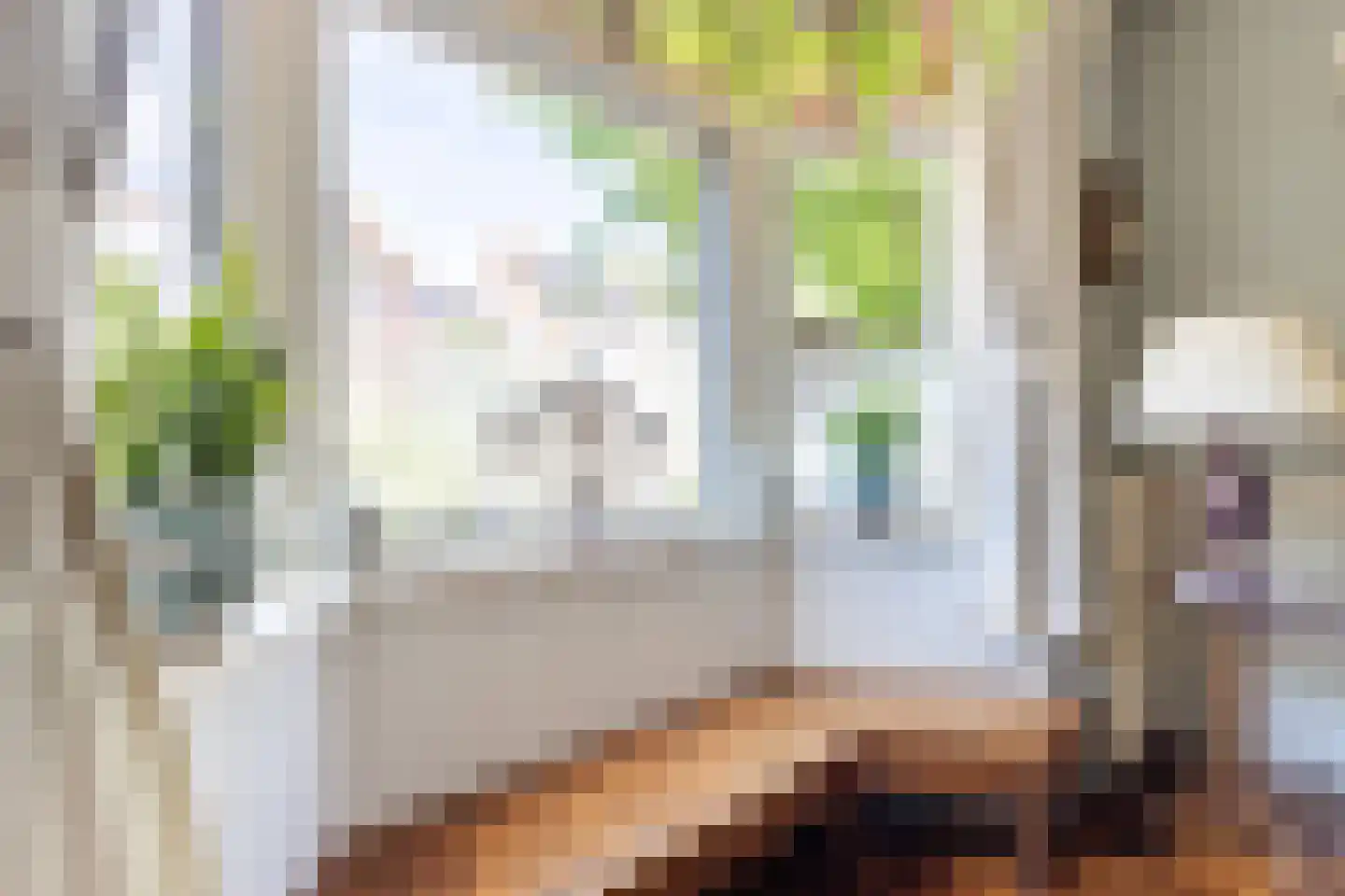 Vermeerstraat 1 Zaandam thumbnail 18