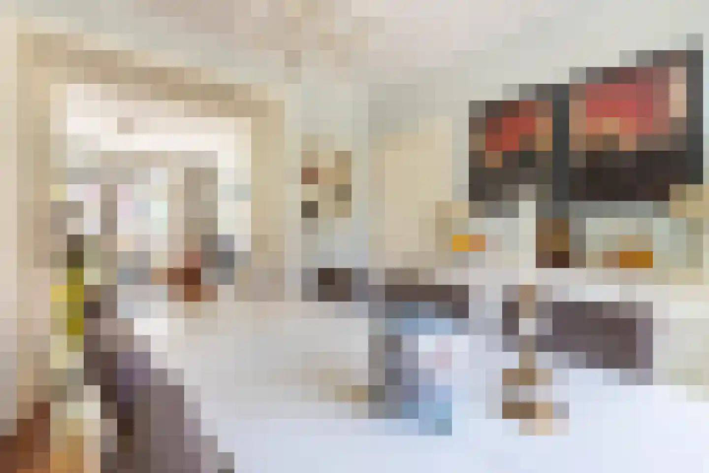 Vermeerstraat 1 Zaandam thumbnail 20
