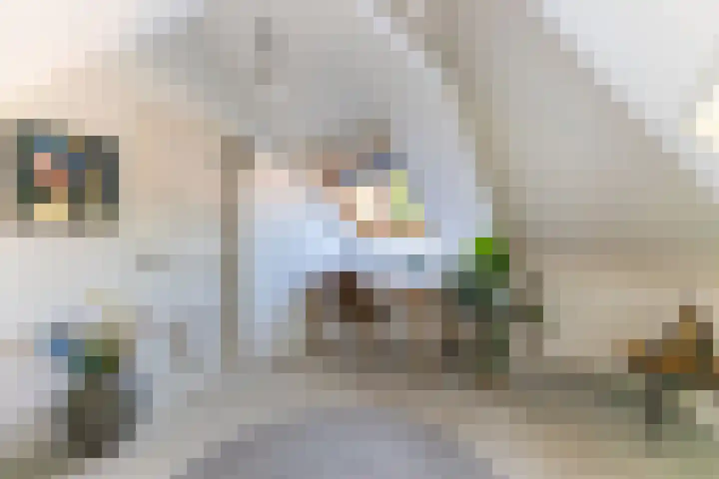 Vermeerstraat 1 Zaandam thumbnail 37