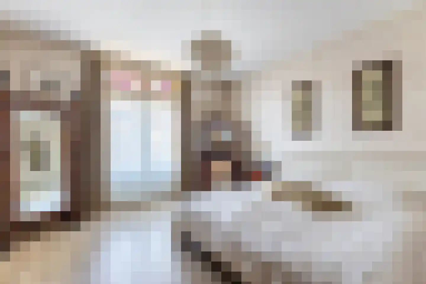 Vermeerstraat 1 Zaandam thumbnail 4