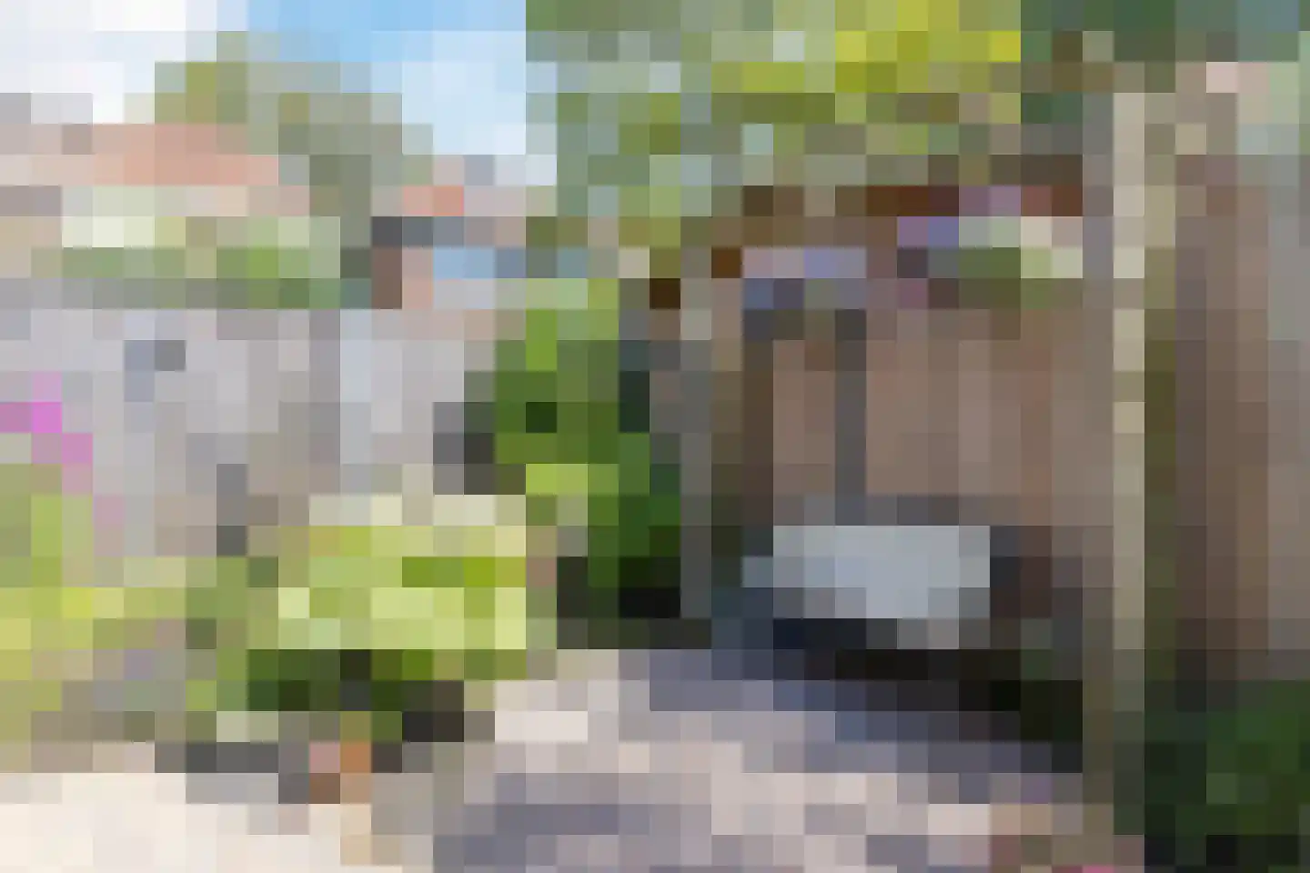 Vermeerstraat 1 Zaandam thumbnail 44
