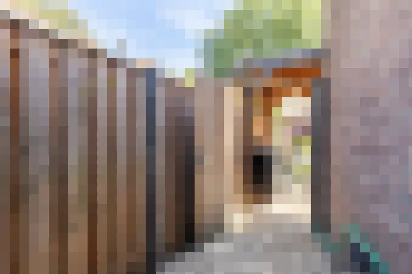 Vermeerstraat 1 Zaandam thumbnail 47