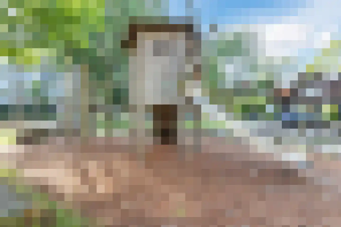 Vermeerstraat 1 Zaandam thumbnail 51