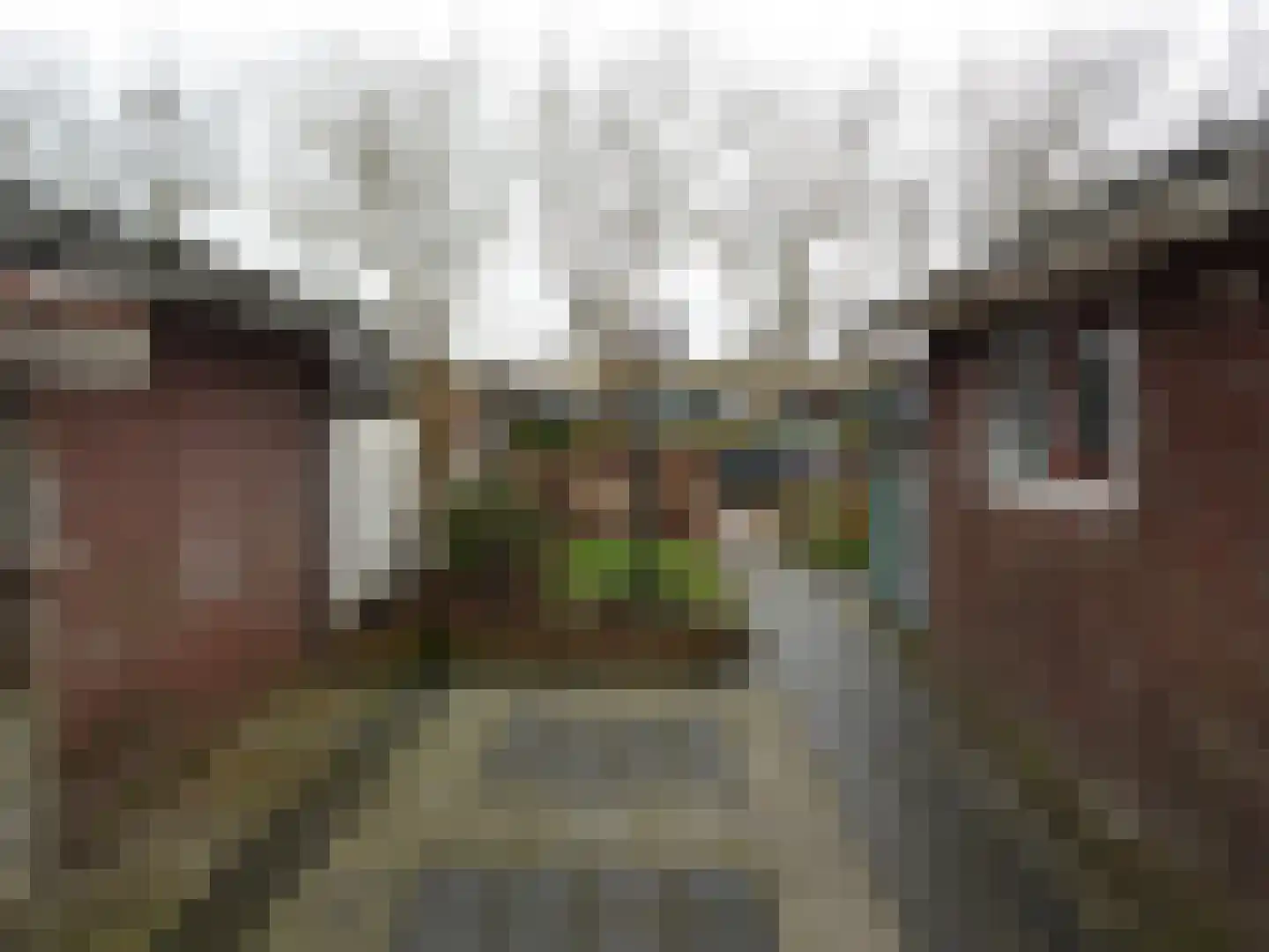 Vermeerstraat 10 Sint Maartensvlotbrug thumbnail 20