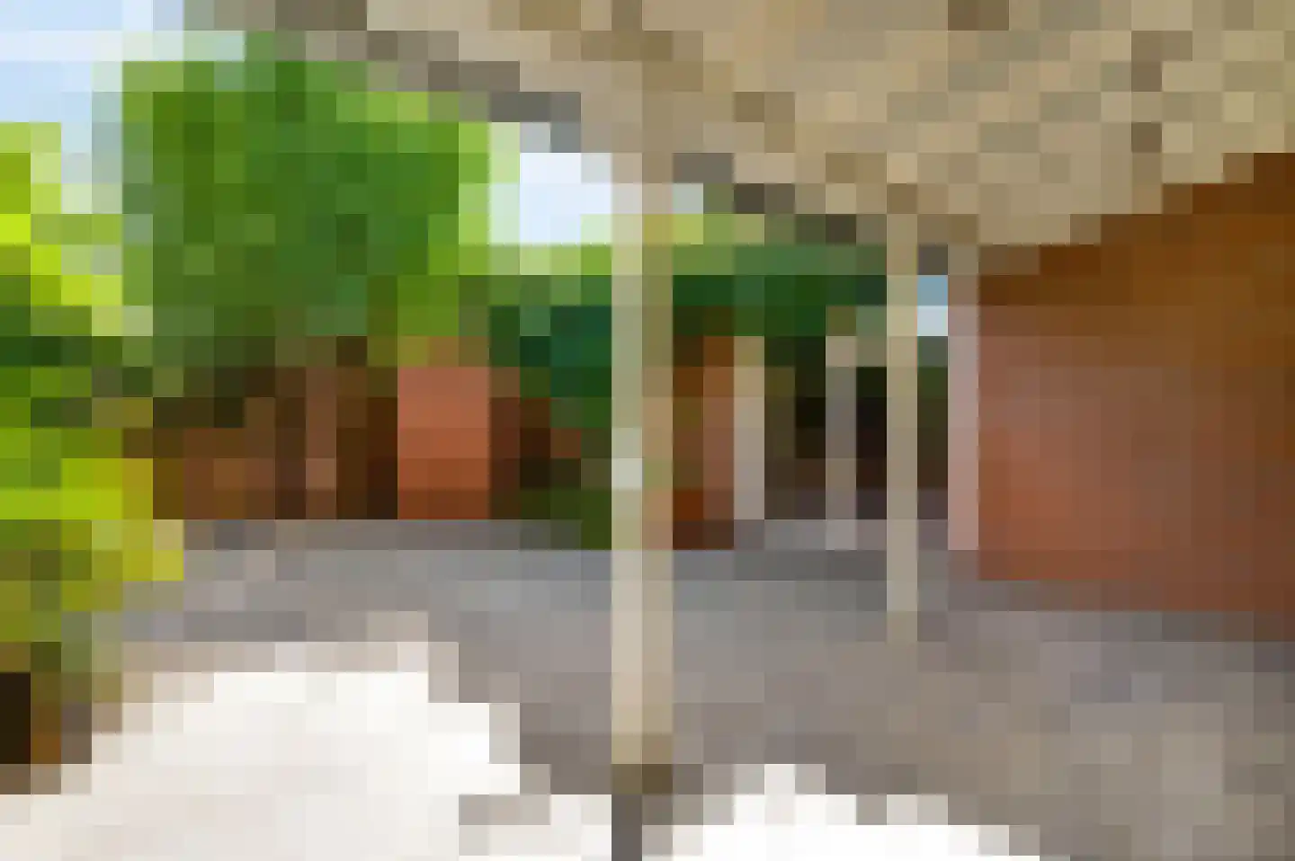 Vermeerstraat 10 Spaubeek thumbnail 12