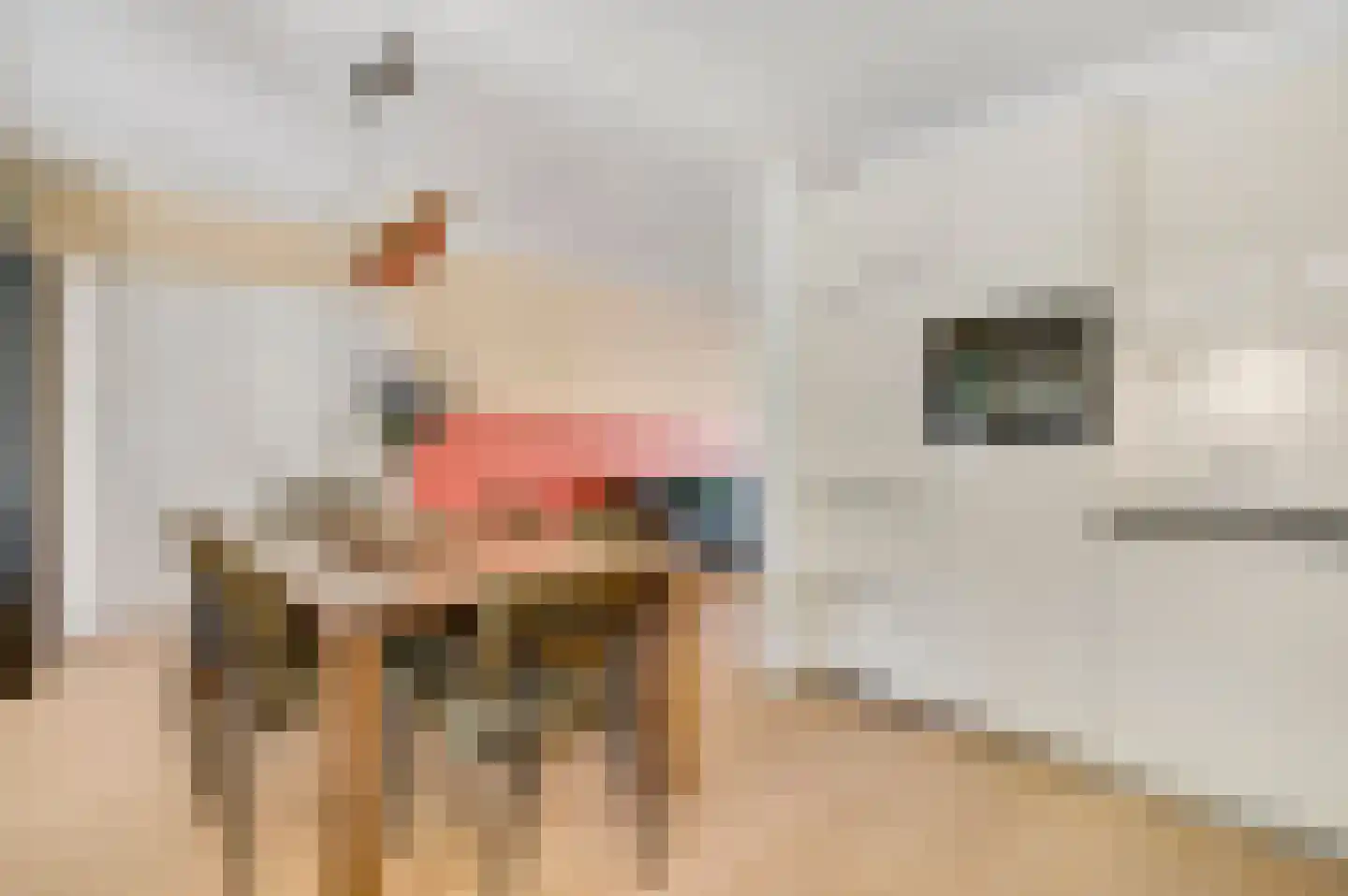 Vermeerstraat 10 Spaubeek thumbnail 17