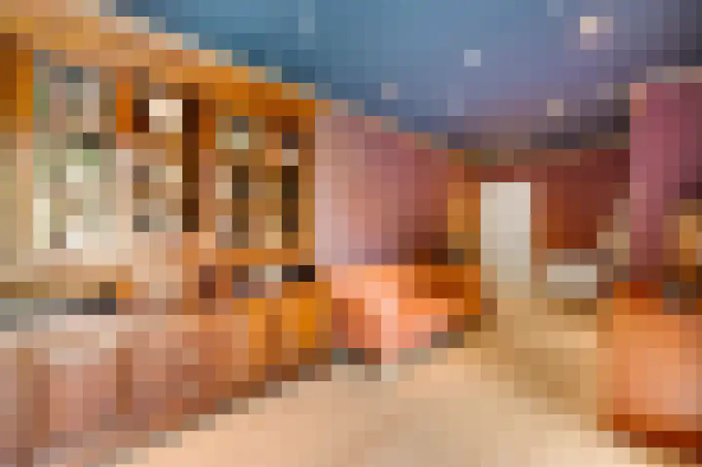 Vermeerstraat 10 Spaubeek thumbnail 19