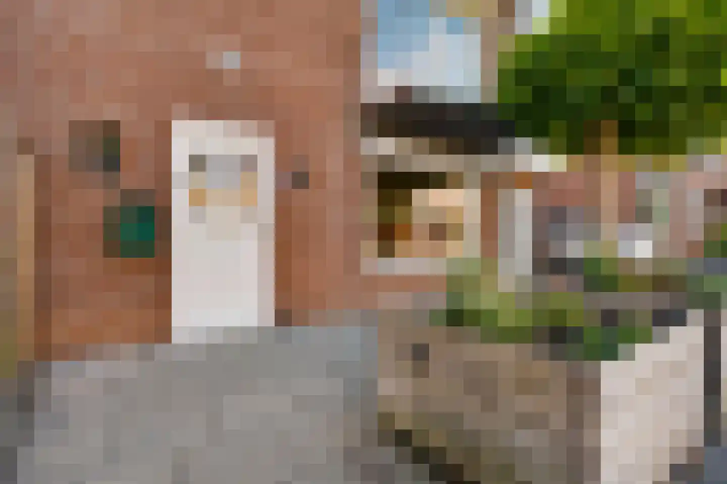 Vermeerstraat 10 Spaubeek thumbnail 6