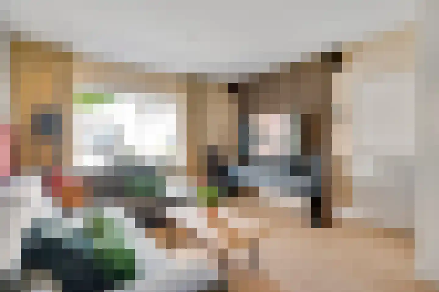 Vermeerstraat 10 Spaubeek thumbnail 8