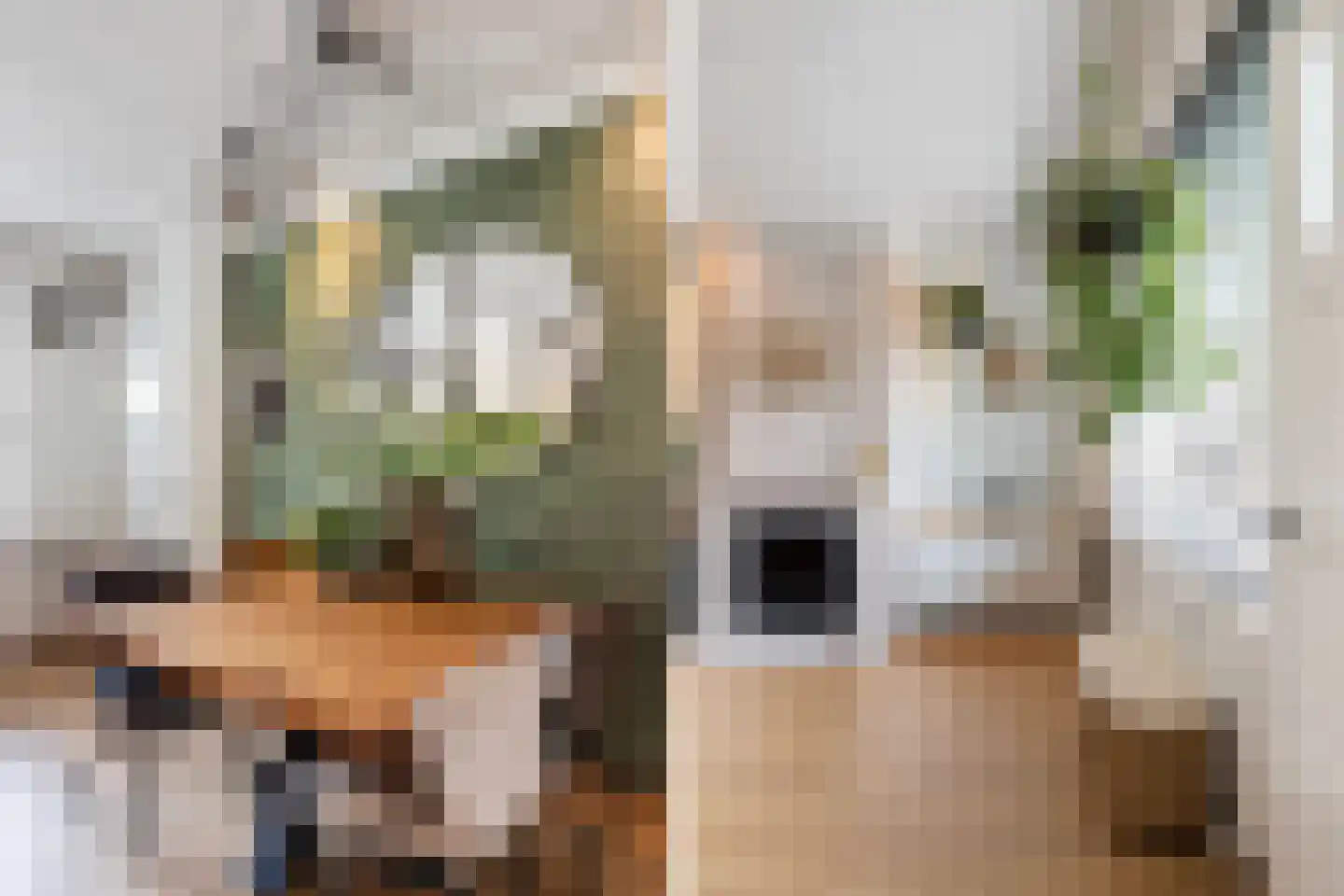 Vermeerstraat 11 Sliedrecht thumbnail 12