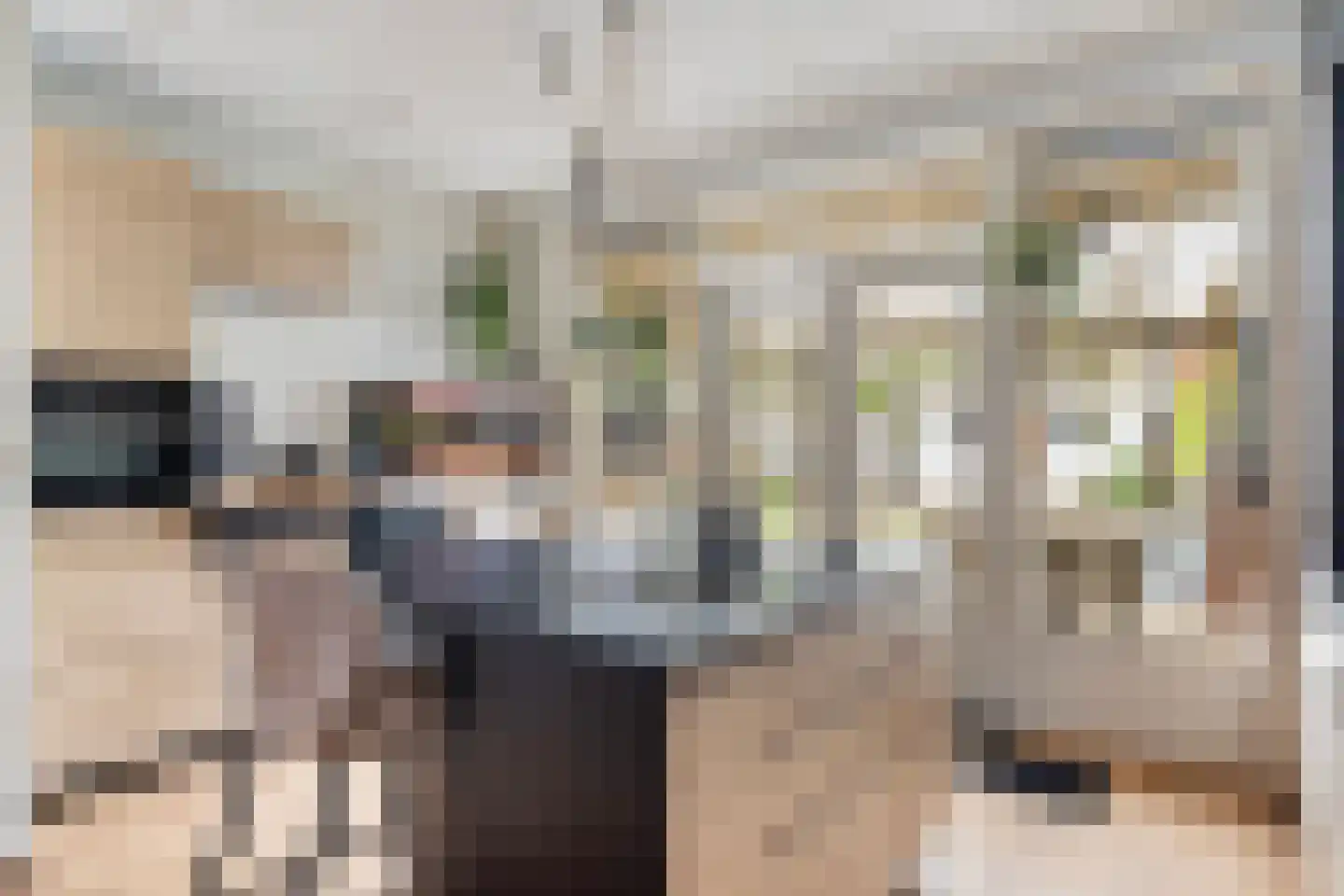 Vermeerstraat 11 Sliedrecht thumbnail 13