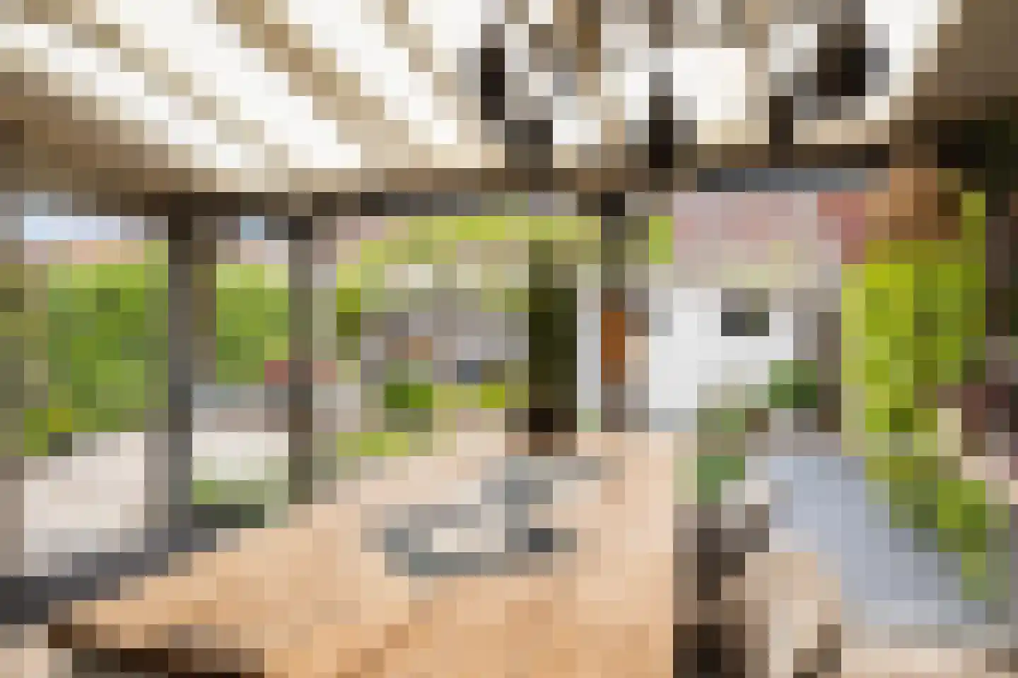 Vermeerstraat 11 Sliedrecht thumbnail 16