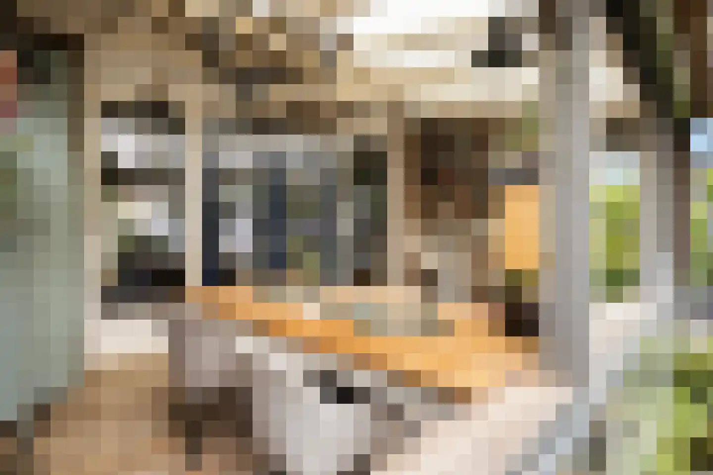 Vermeerstraat 11 Sliedrecht thumbnail 17