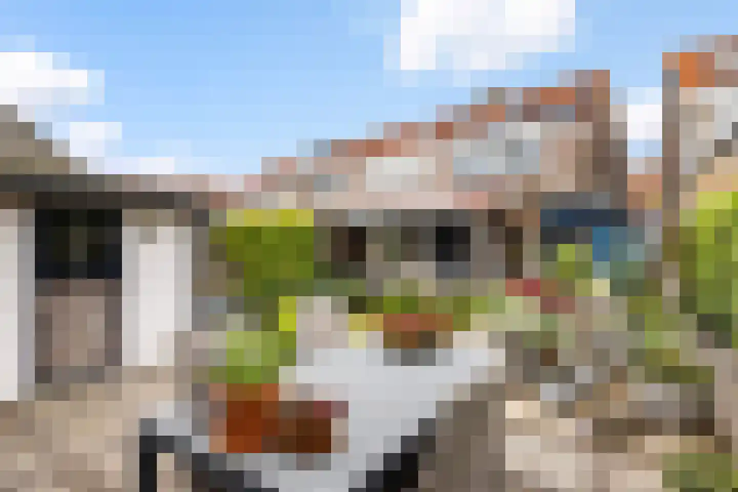 Vermeerstraat 11 Sliedrecht thumbnail 22