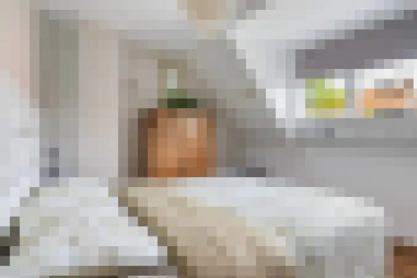Vermeerstraat 11 Sliedrecht thumbnail 25