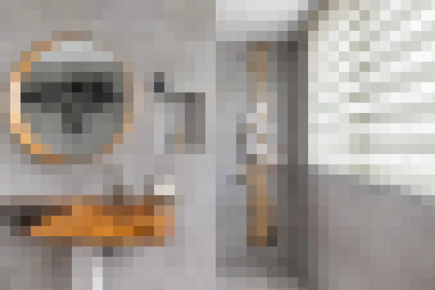 Vermeerstraat 11 Sliedrecht thumbnail 28
