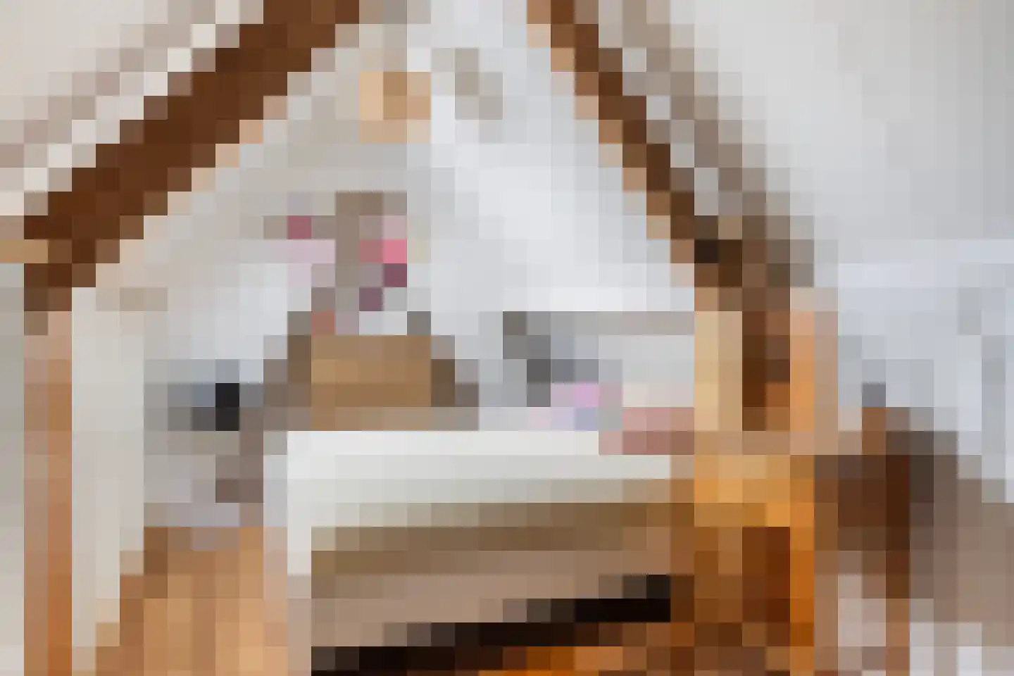Vermeerstraat 11 Sliedrecht thumbnail 32