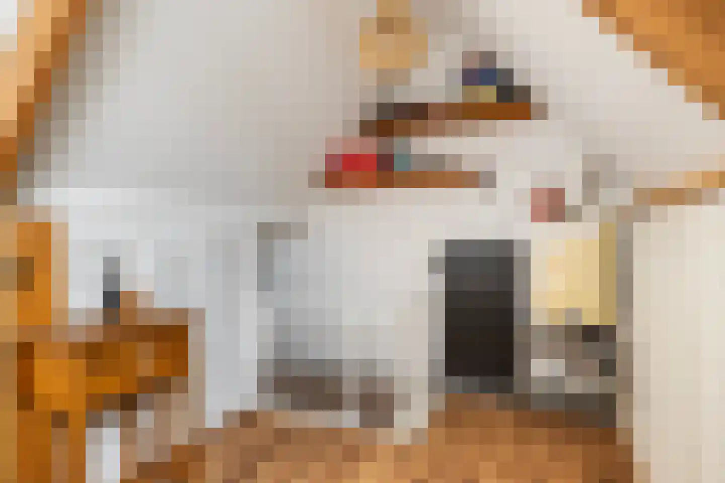 Vermeerstraat 11 Sliedrecht thumbnail 33